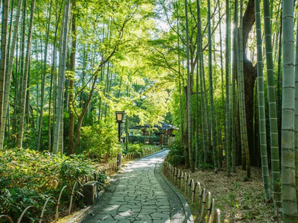 Greeting はじめてのお客様 画像